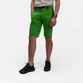  classicgreen