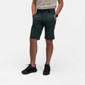 darkgreen